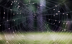 Claims Court Clears Cobwebs for Fee Shifting in Patent Cases