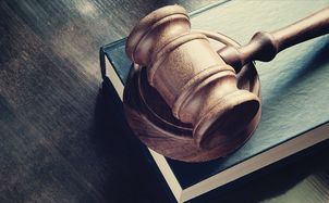 American Axle & Manufacturing Inc. v. Neapco Holdings LLC 