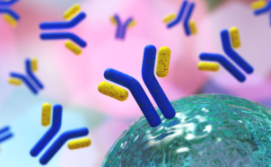 Patenting Antibody Combination Therapies