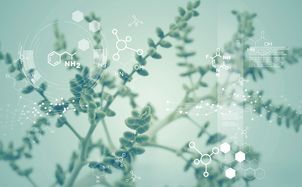 Recent Patent Case Law in the Pharmaceutical, Chemical, and Biotech Fields