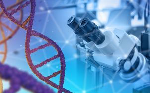 Global Patent Strategies for Life Sciences and Chemical Innovations: Key Developments in Europe and the United States – Osaka