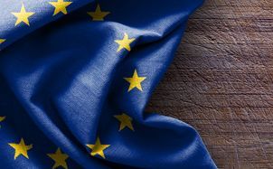 Patent Plausibility Uncertainty Persists, EPO Petition Shows