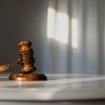 Thumbnail-Common-Ground-An-Apparent-Government-Desire