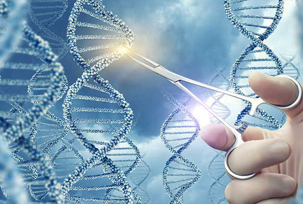 Finnegan helps Intellia Therapeutics acquire Rewrite Therapeutics, Inc. for $45 million