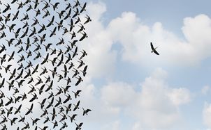 Navigating Your Life Sciences Opposition: Tips for Best Practice When You Are Opposing or Opposed