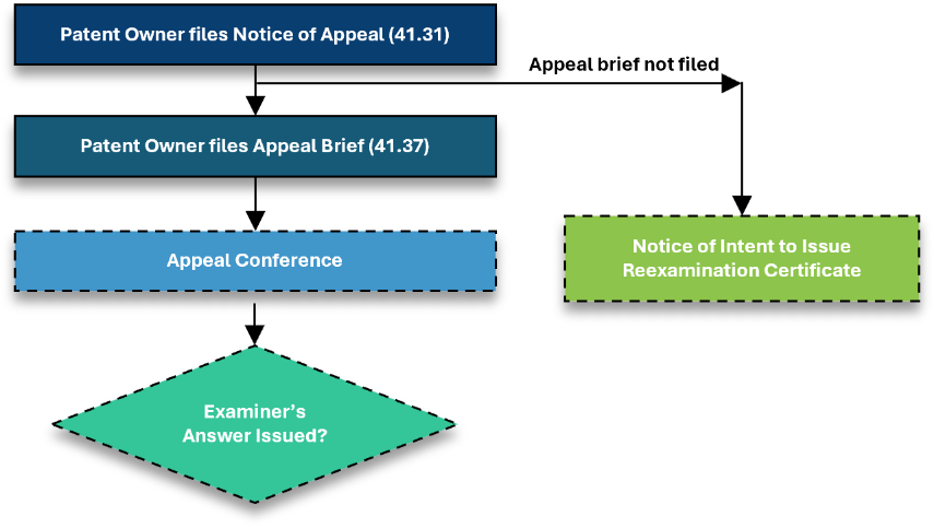 How the appeal proceeds