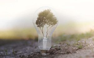 Sustainable Patenting