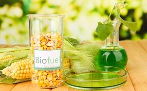Intellectual Property Strategies for Developing Biofuels