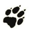 Wolfskin_1