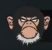 2014.12.17_Angry-Monkey